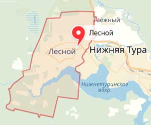 Карта: Лесной